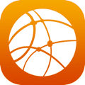 Network icon