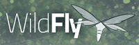 WildFly logo