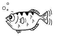 GDB logo