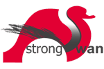 strongSwan logo