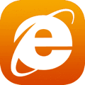 Internet Explorer security icon