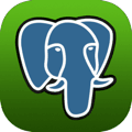 PostgreSQL icon
