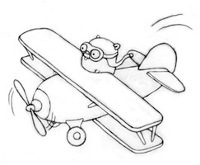 Gopher Biplane
