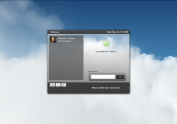 MDM screenshot