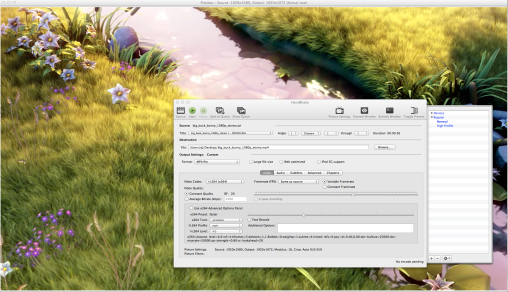 HandBrake Preview and controls