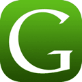 Google icon