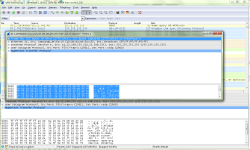 Wireshark screenshot