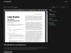MediaGoblin document view