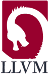 LLVM logo