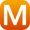 Microsoft icon