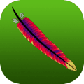 Apache feather