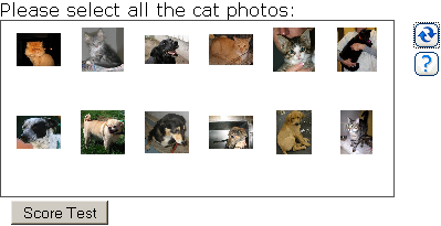 Asirra: Cat captcha interface