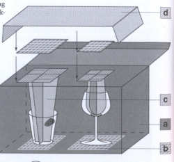 Instructions on collecting fingerprints