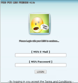 Login dialogue on the MSN phishing page