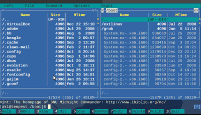 The classic two column view of files in Midnight Commander