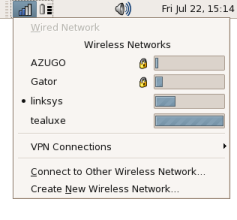 NetworkManager running on a Linux system