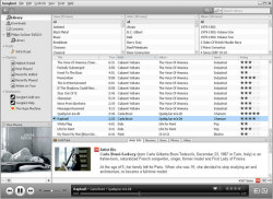 The Songbird media player interface.
