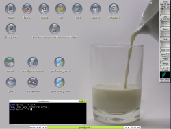 The grml 2009.05 desktop running the X Window system with the fluxbox window manager.