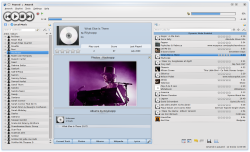 Amarok 2.2 screen shot.