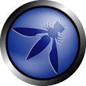 OWASP Logo