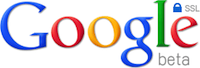 Google SSL Search Logo
