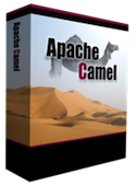 Apache Camel "box" photo