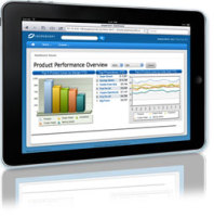 Mobile Business Intelligence