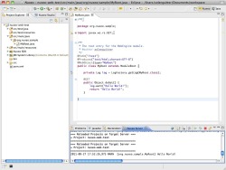 Nuxeo IDE in action