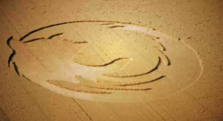 Firefox in Wheat