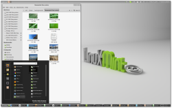 Linux Mint Screenshot