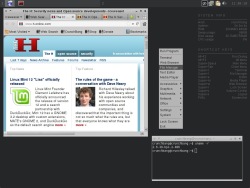 Crunchbang screenshot
