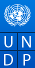 UNDP logo
