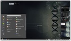 Cinnamon's menu and virtual desktop overview
