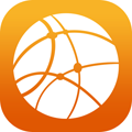 Network icon