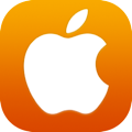 Apple security icon