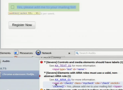 Screenshot of accessibility check