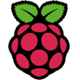 Raspberry Pi logo