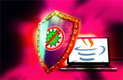 Java defences image