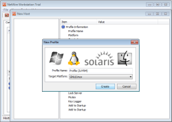 Netwire screenshot