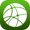Network globe icon