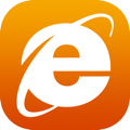 IE icon